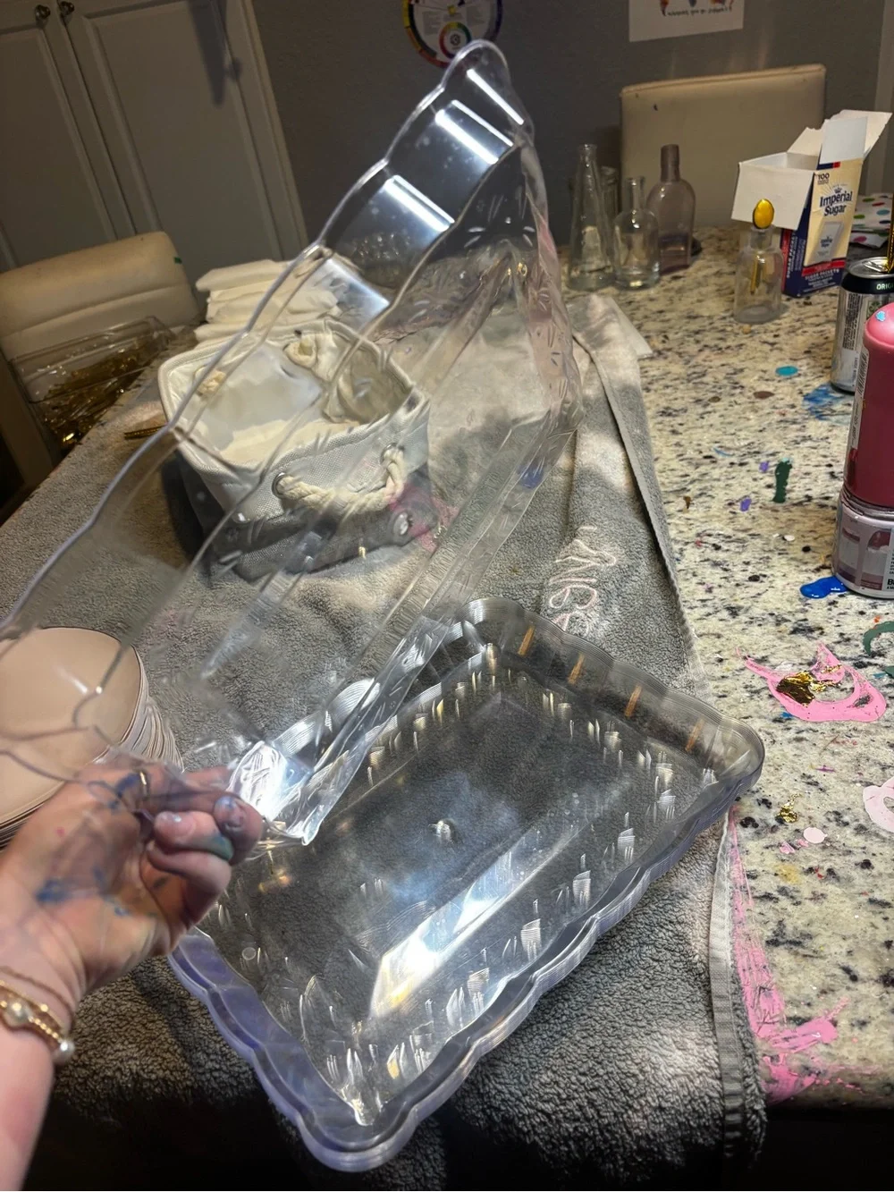 Set Clear Plastic Storage Tray - Transparent Home  platters